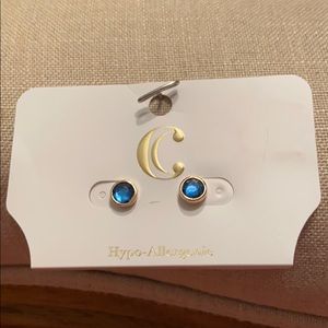 Charming Charlie’s Mint Blue Medium Earrings